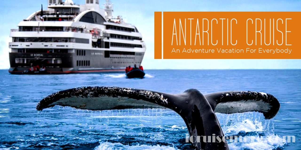 Antarctic Cruise – An Adventure Vacation For Everybody