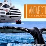 Antarctic Cruise – An Adventure Vacation For Everybody