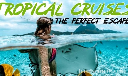 Tropical Cruises – The Perfect Escape
